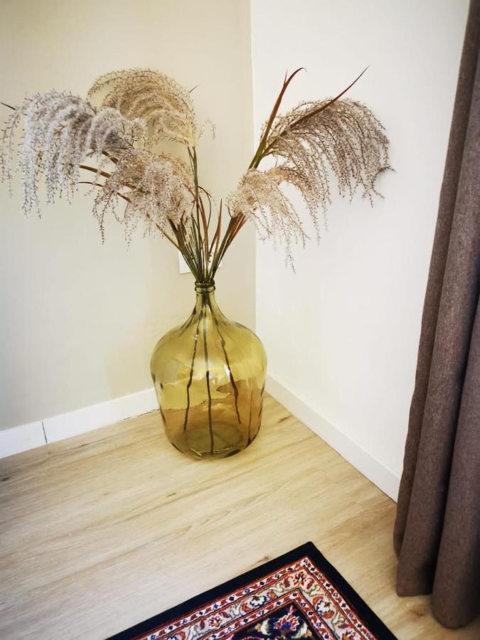 Peñíscola Vida Y Mar Apartamentos מראה חיצוני תמונה